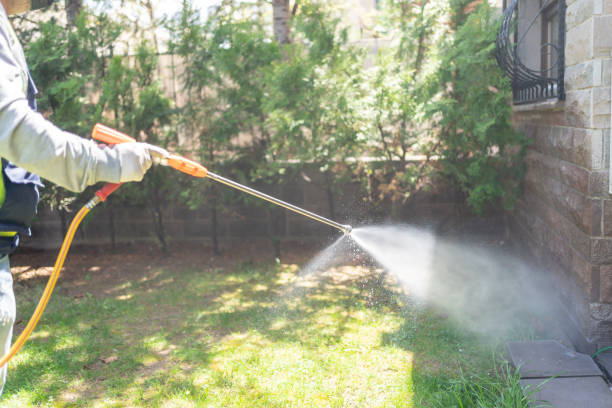 Best Rodent Control Near Me  in New Mford, IL